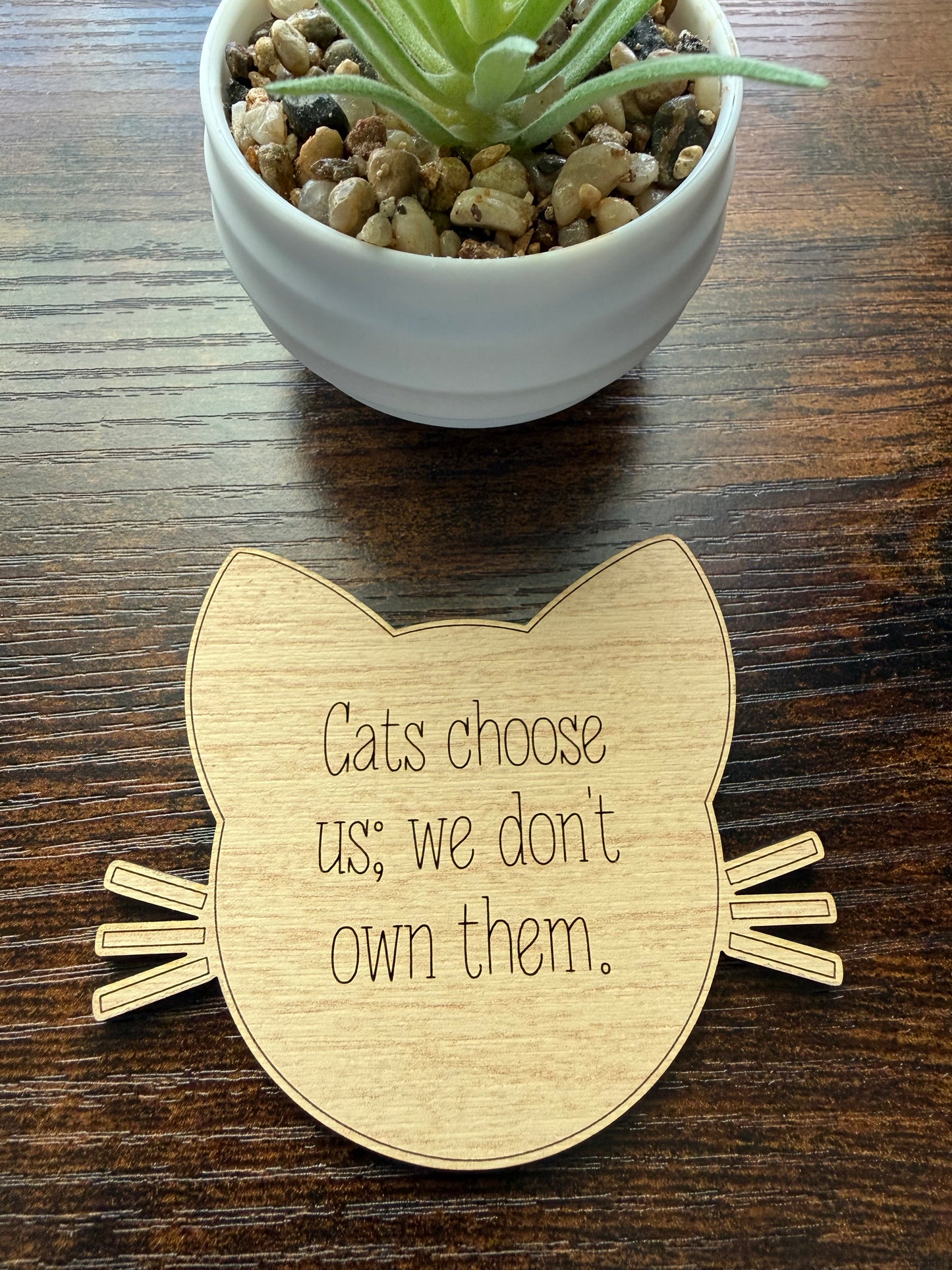 Cats Choose Us – Cat Magnet
