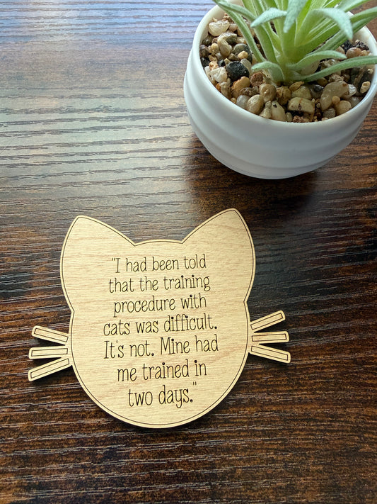My Cat Trained Me in Two Days – Cat Magnet